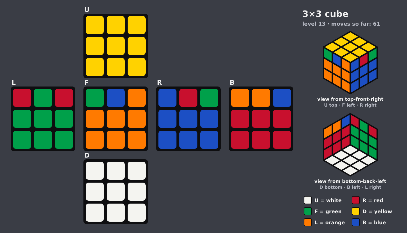 Picture shown to the model: after turn 8 · 61 moves