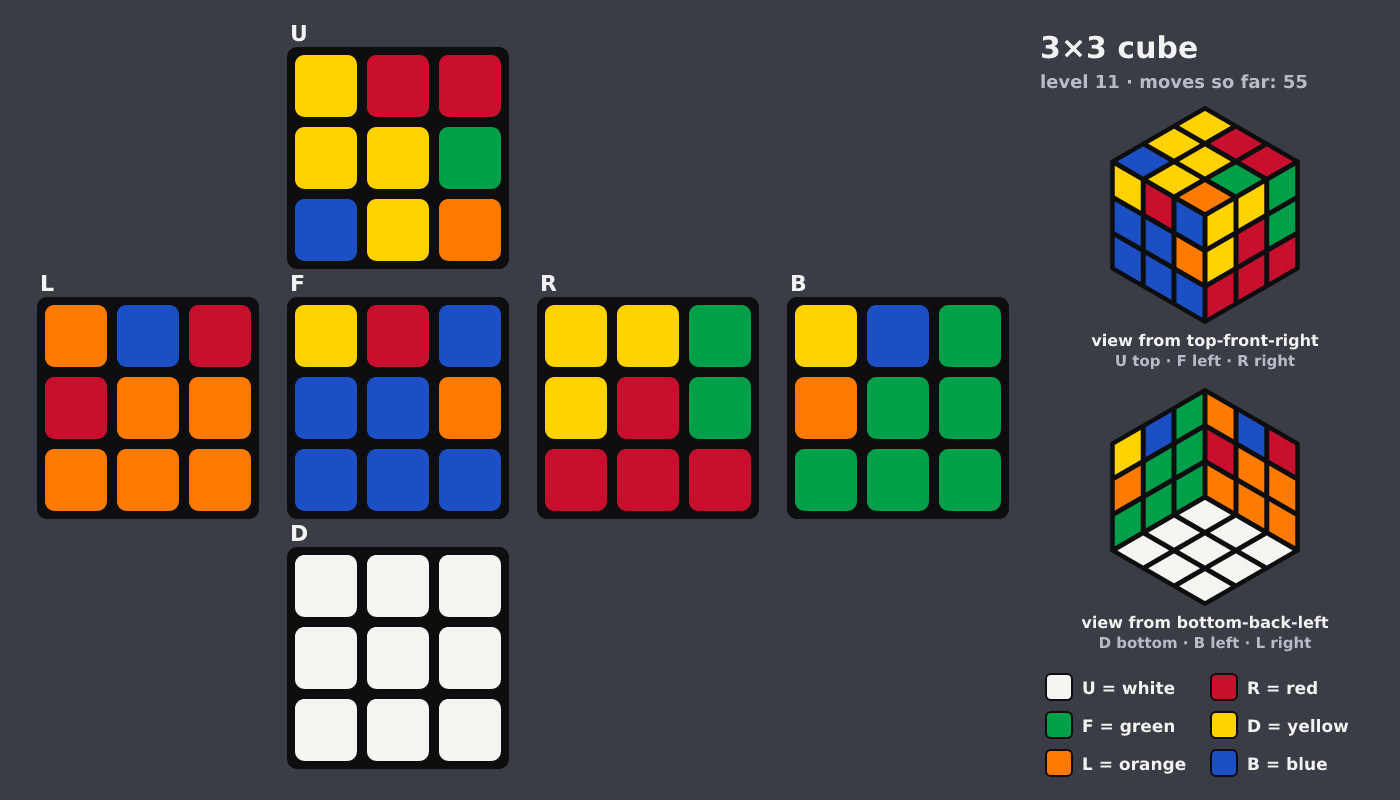 Picture shown to the model: after turn 9 · 55 moves