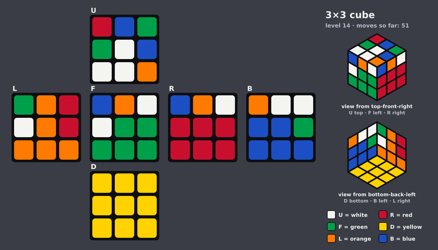 Picture shown to the model: after turn 9 · 51 moves