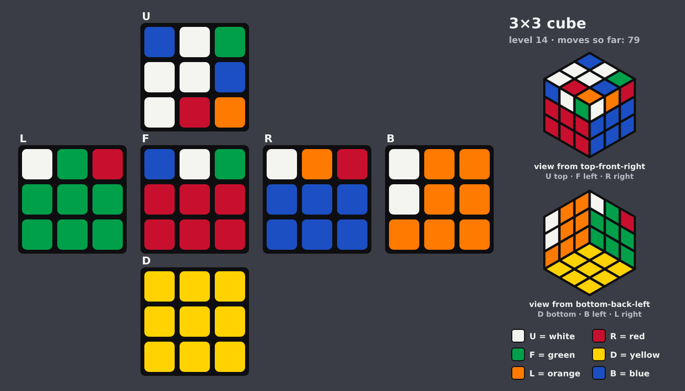 Picture shown to the model: after turn 13 · 79 moves