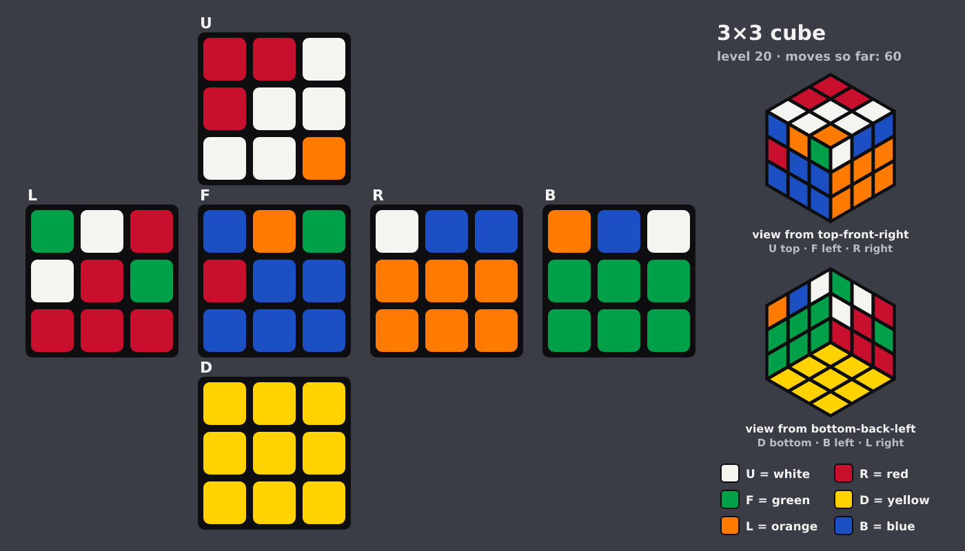 Picture shown to the model: after turn 9 · 60 moves