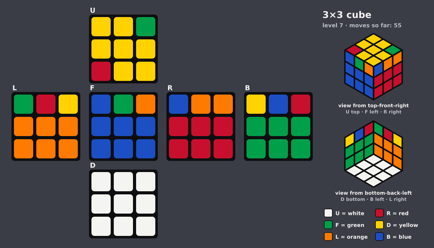 Picture shown to the model: after turn 9 · 55 moves