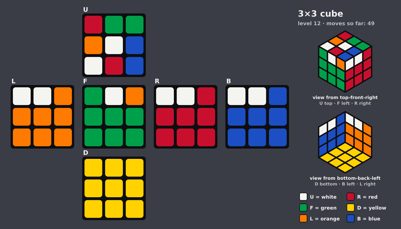 Picture shown to the model: after turn 5 · 49 moves