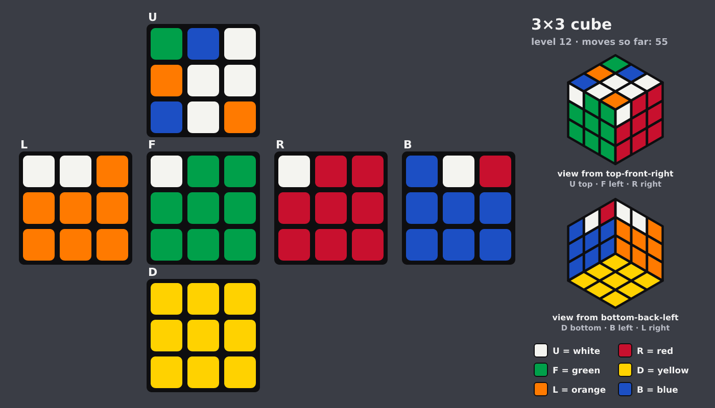 Picture shown to the model: after turn 6 · 55 moves