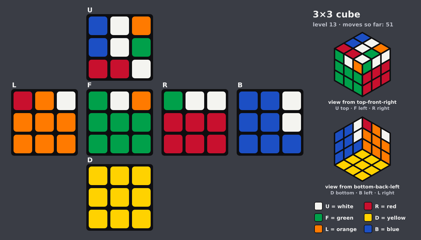 Picture shown to the model: after turn 8 · 51 moves