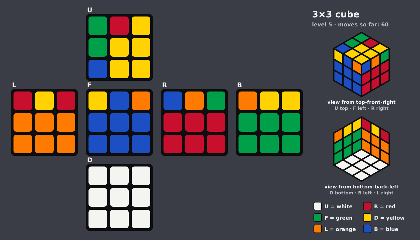 Picture shown to the model: after turn 9 · 60 moves