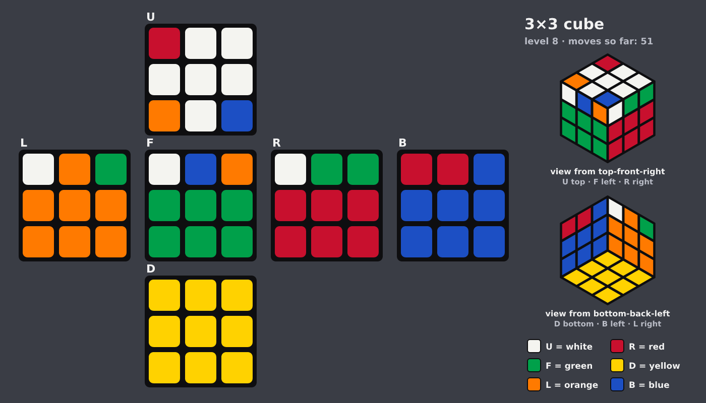 Picture shown to the model: after turn 8 · 51 moves