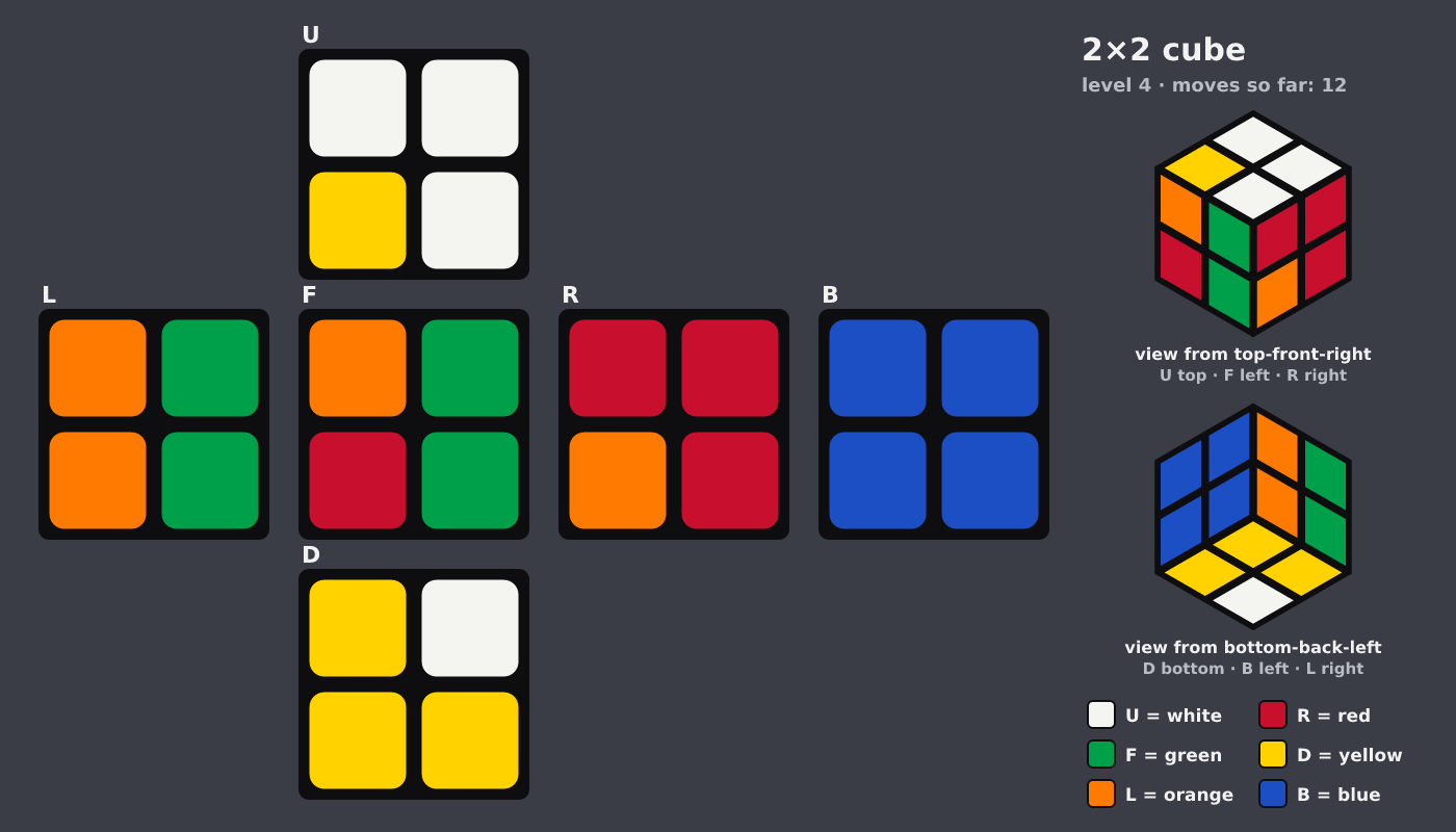 Picture shown to the model: after turn 8 · 12 moves