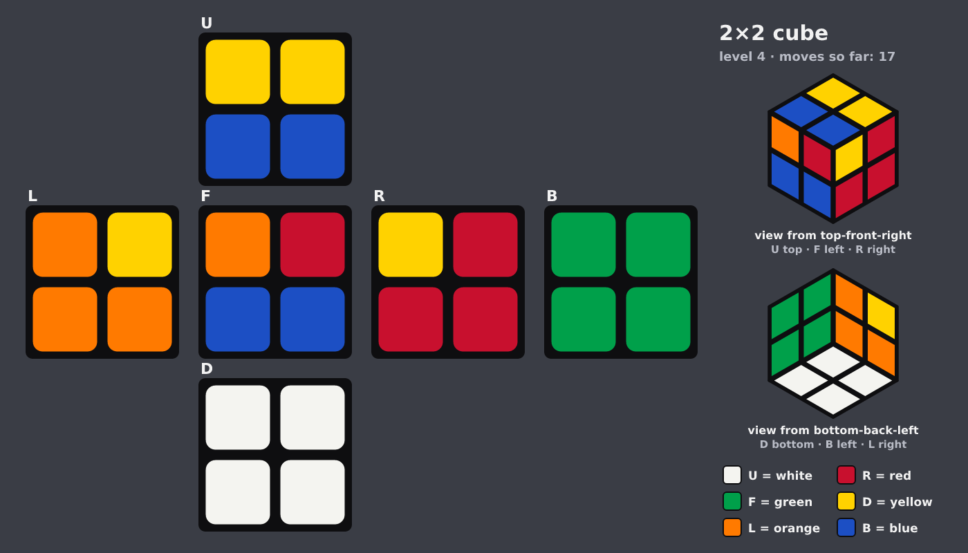 Picture shown to the model: after turn 9 · 17 moves