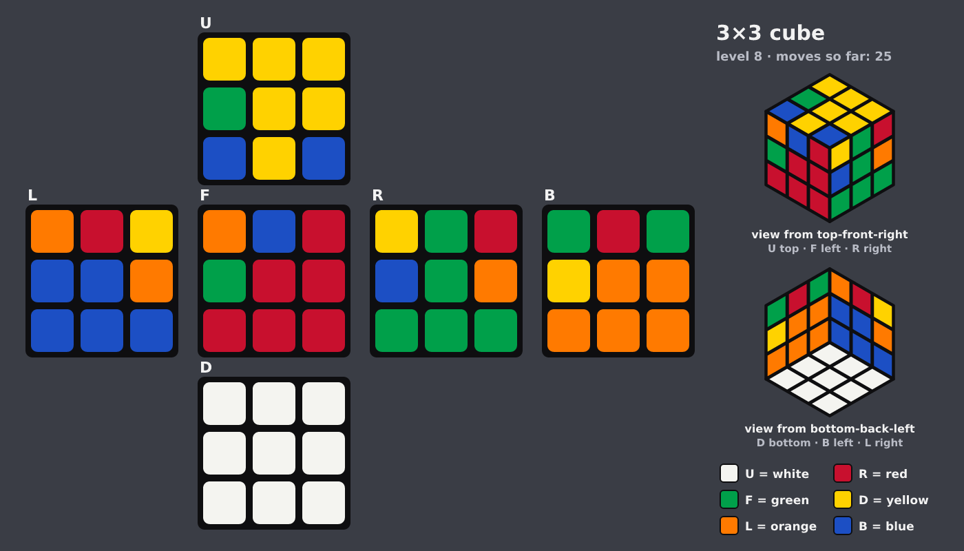 Picture shown to the model: after turn 5 · 25 moves