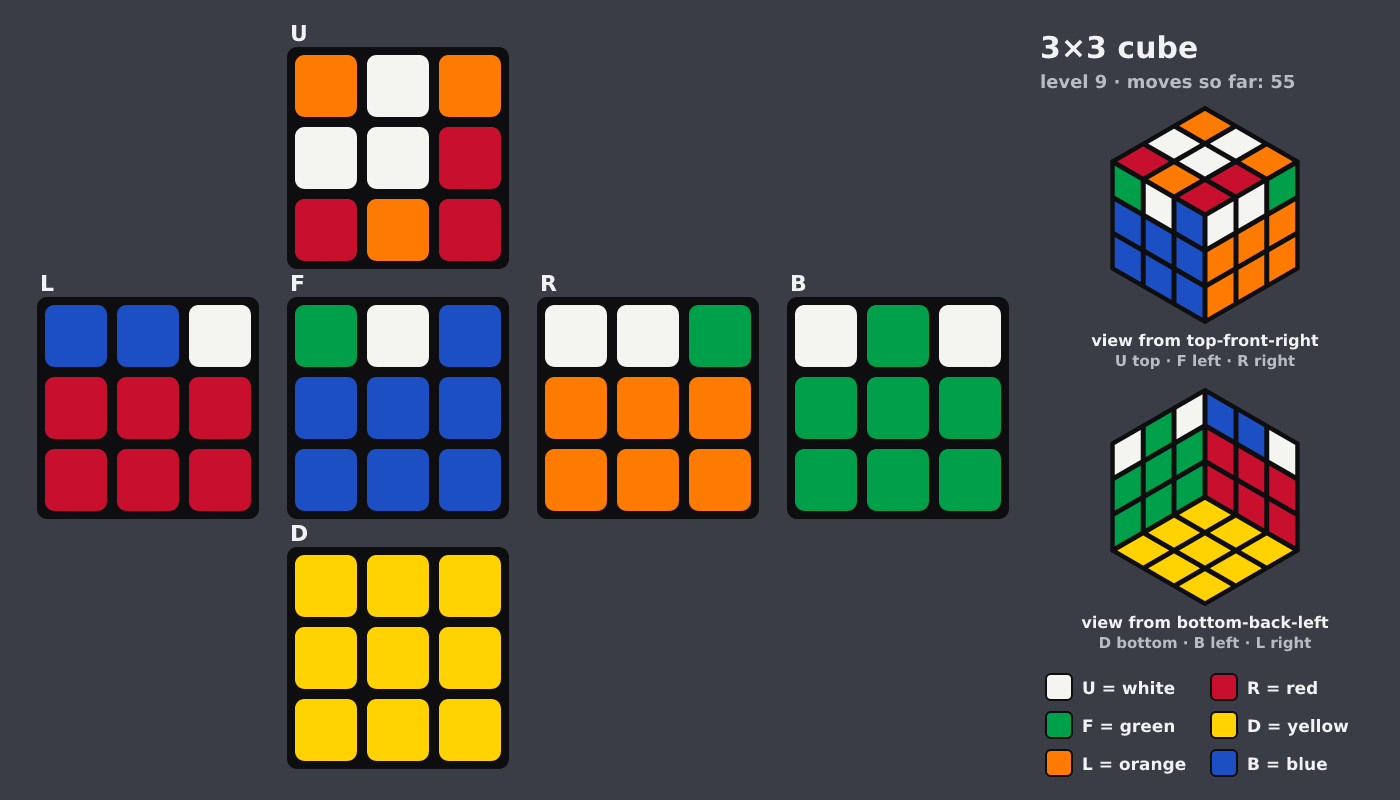 Picture shown to the model: after turn 9 · 55 moves