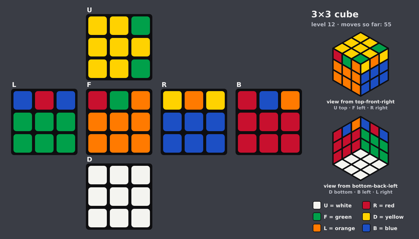 Picture shown to the model: after turn 8 · 55 moves