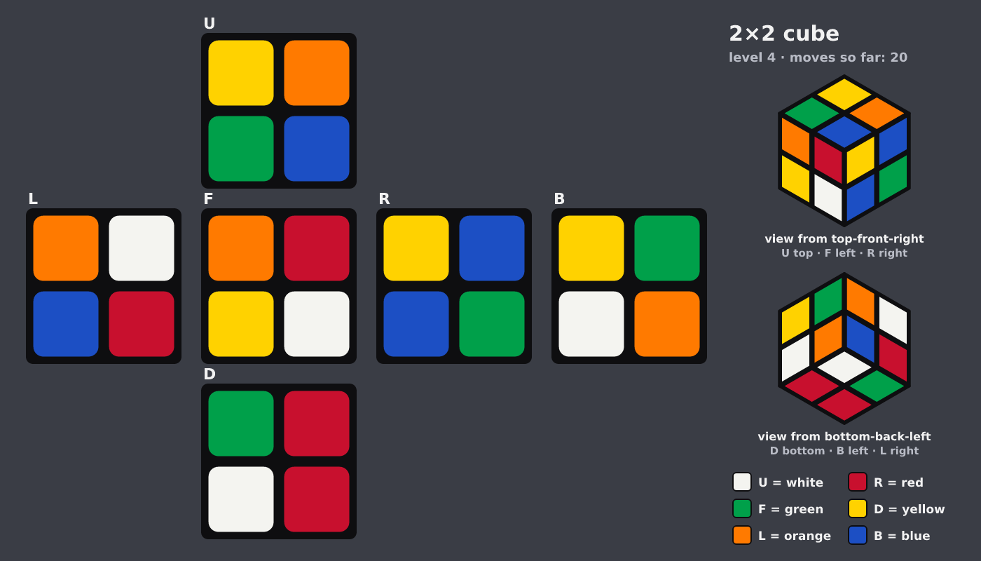 Picture shown to the model: after turn 5 · 20 moves