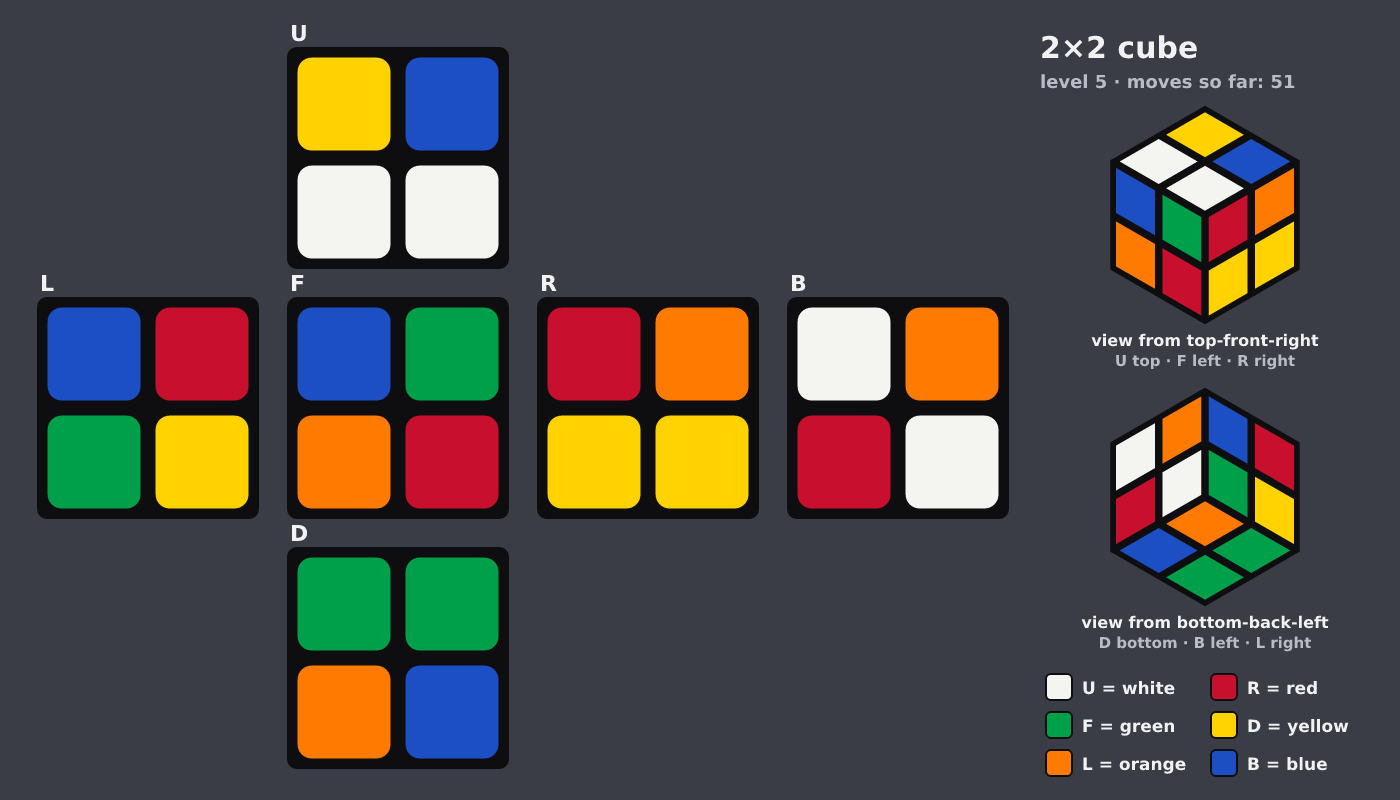 Picture shown to the model: after turn 9 · 51 moves