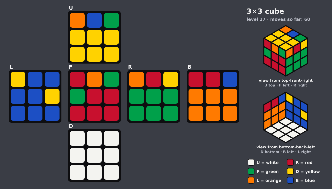 Picture shown to the model: after turn 9 · 60 moves