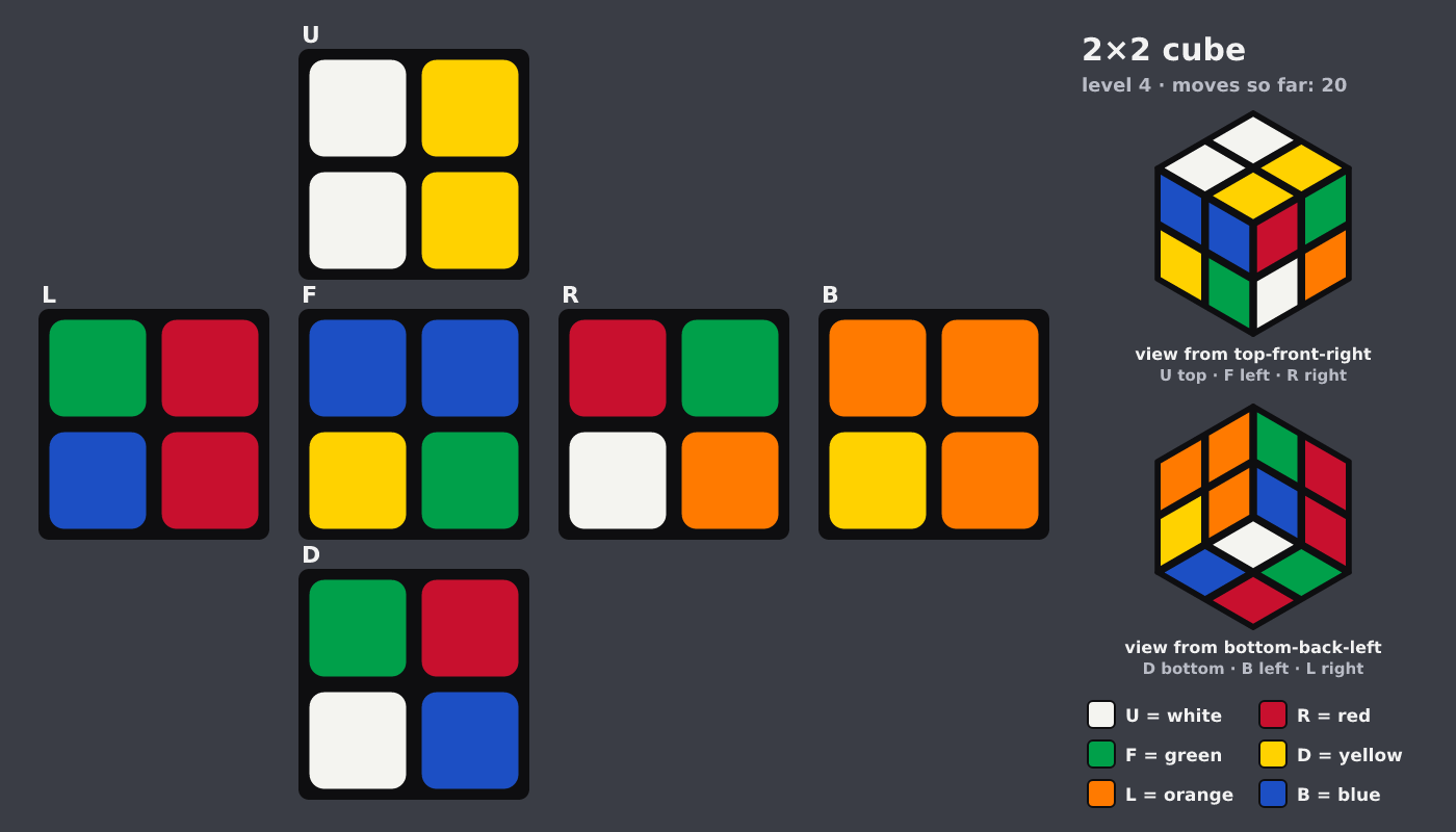 Picture shown to the model: after turn 9 · 20 moves