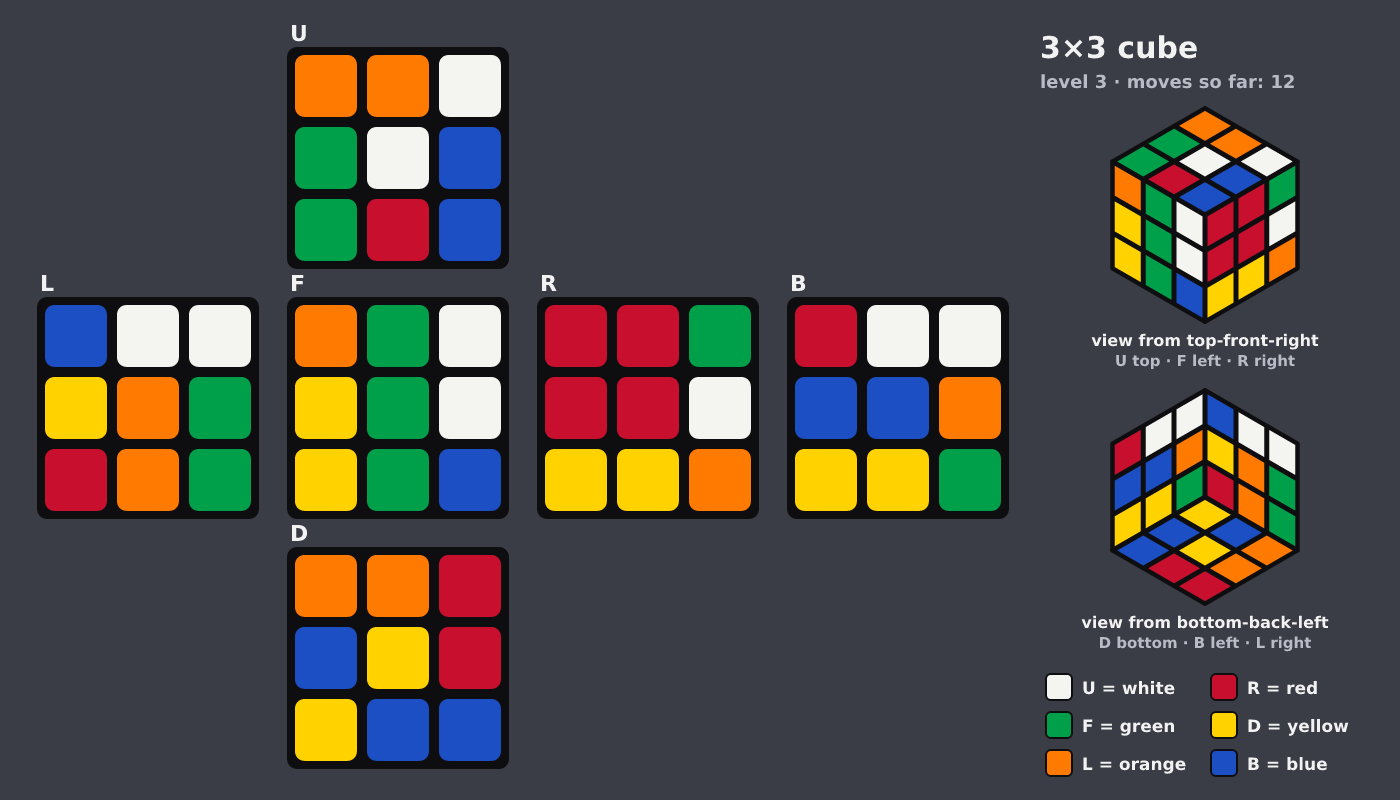 Picture shown to the model: after turn 12 · 12 moves