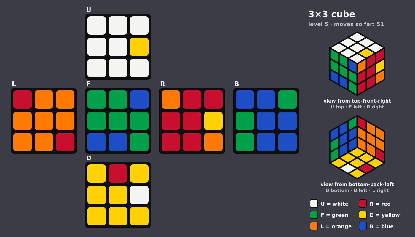 Picture shown to the model: after turn 9 · 51 moves