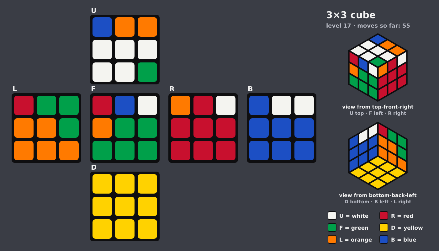 Picture shown to the model: after turn 8 · 55 moves
