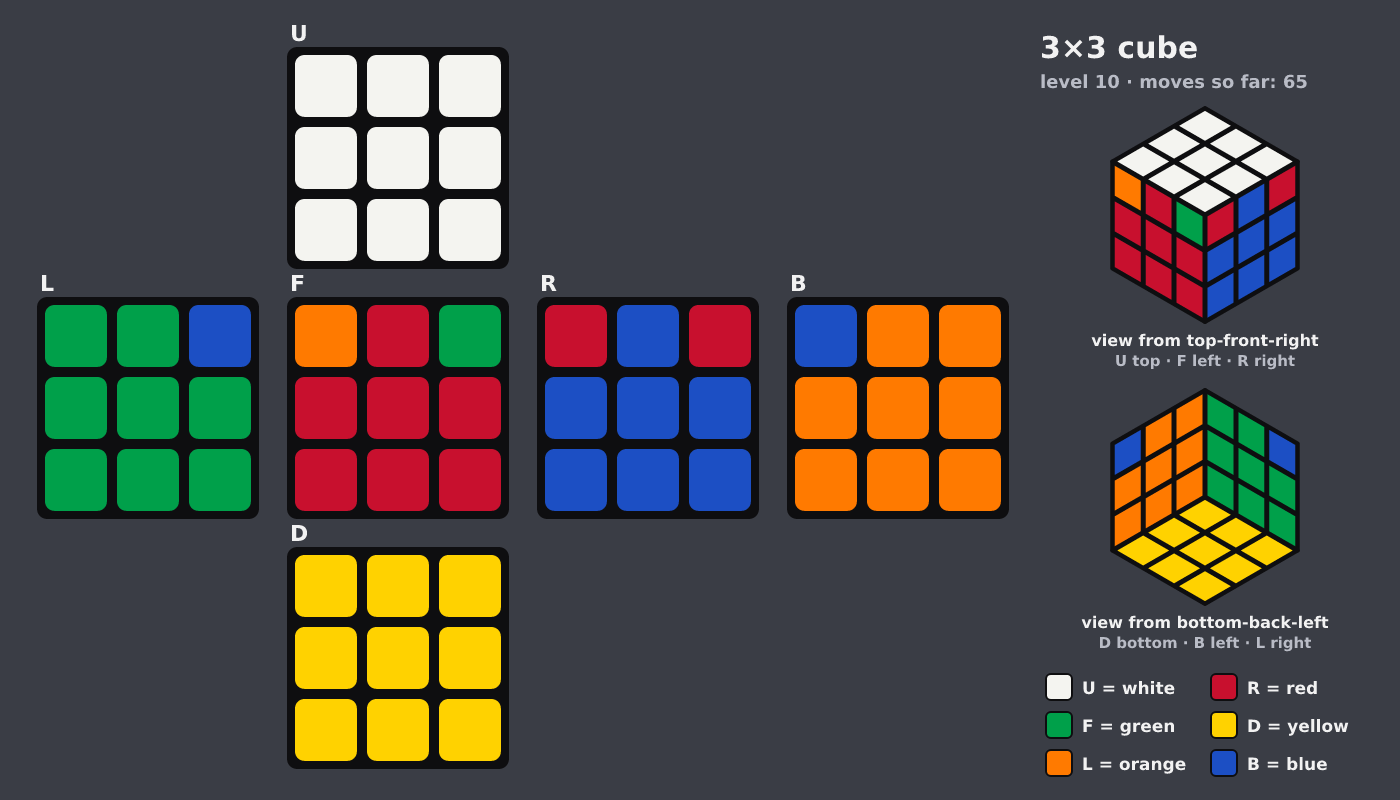 Picture shown to the model: after turn 10 · 65 moves