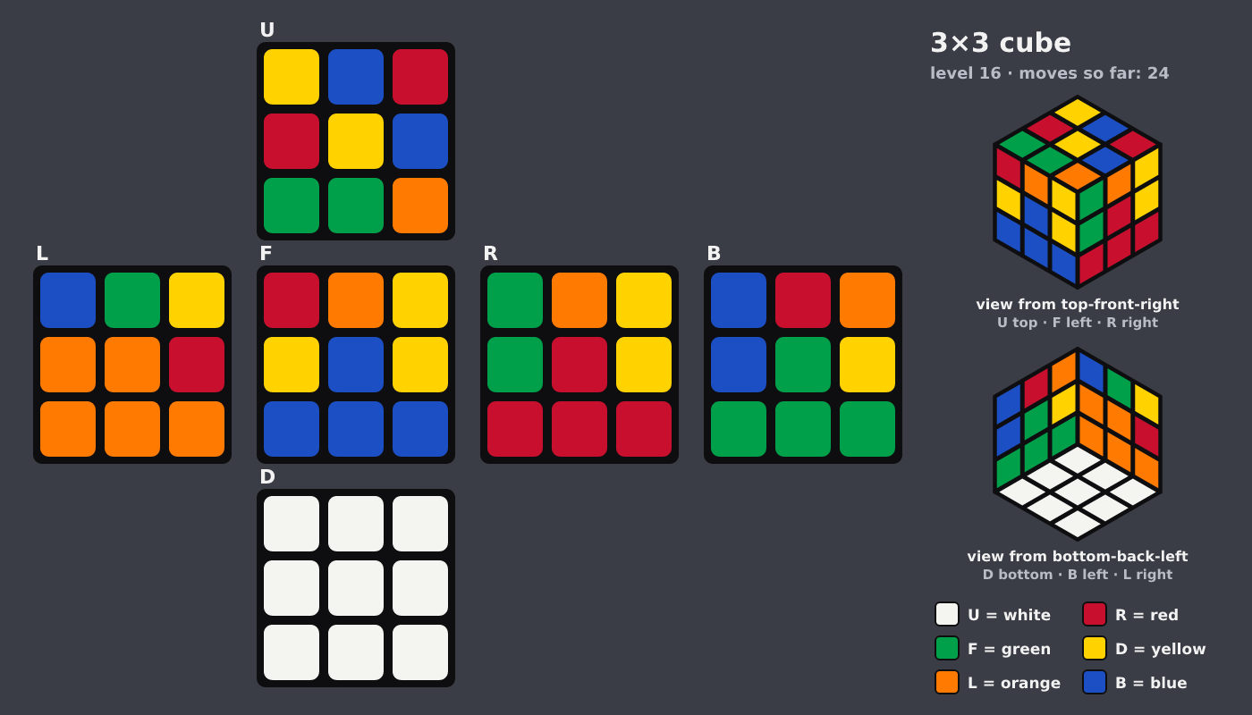 Picture shown to the model: after turn 5 · 24 moves