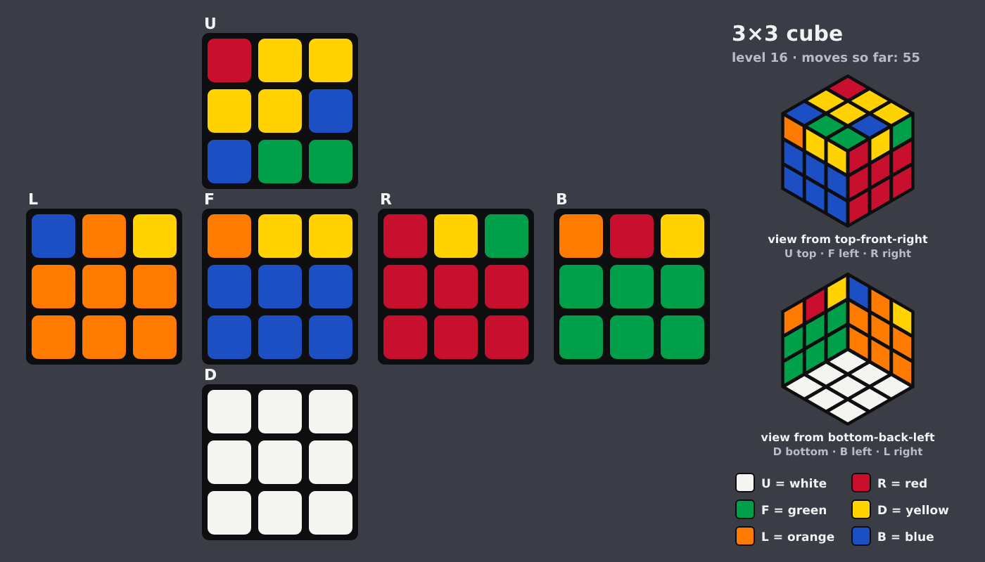 Picture shown to the model: after turn 9 · 55 moves