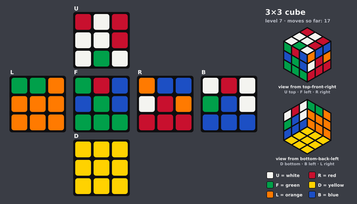 Picture shown to the model: after turn 5 · 17 moves