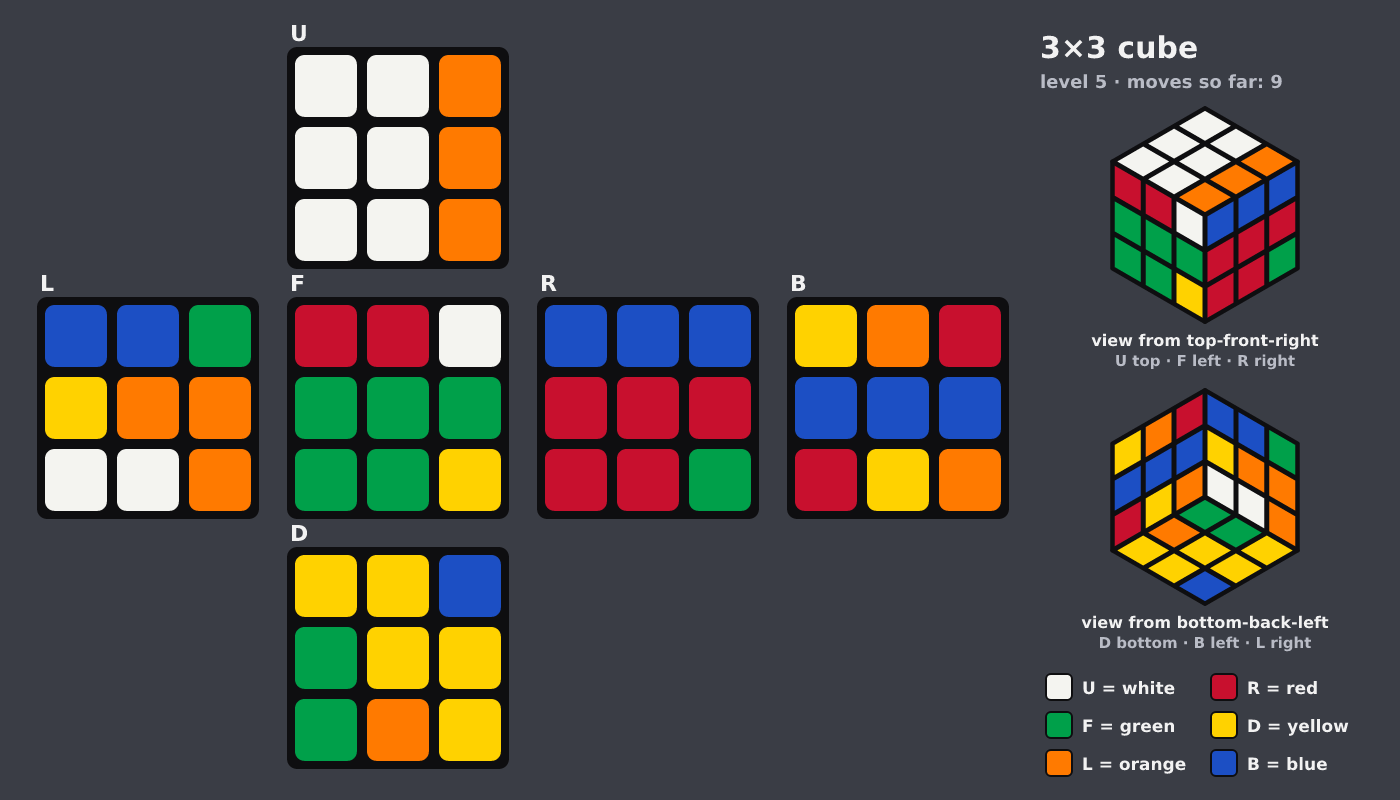 Picture shown to the model: after turn 9 · 9 moves