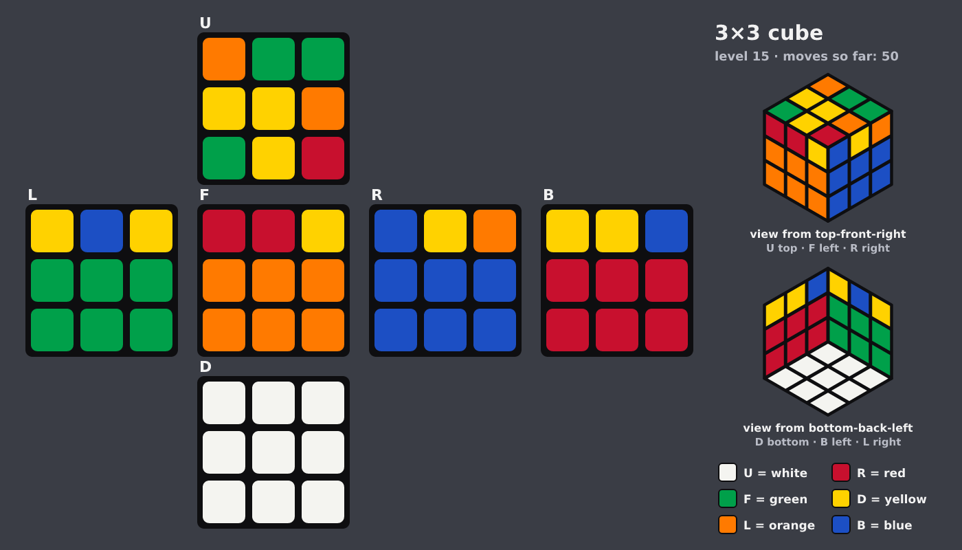 Picture shown to the model: after turn 9 · 50 moves