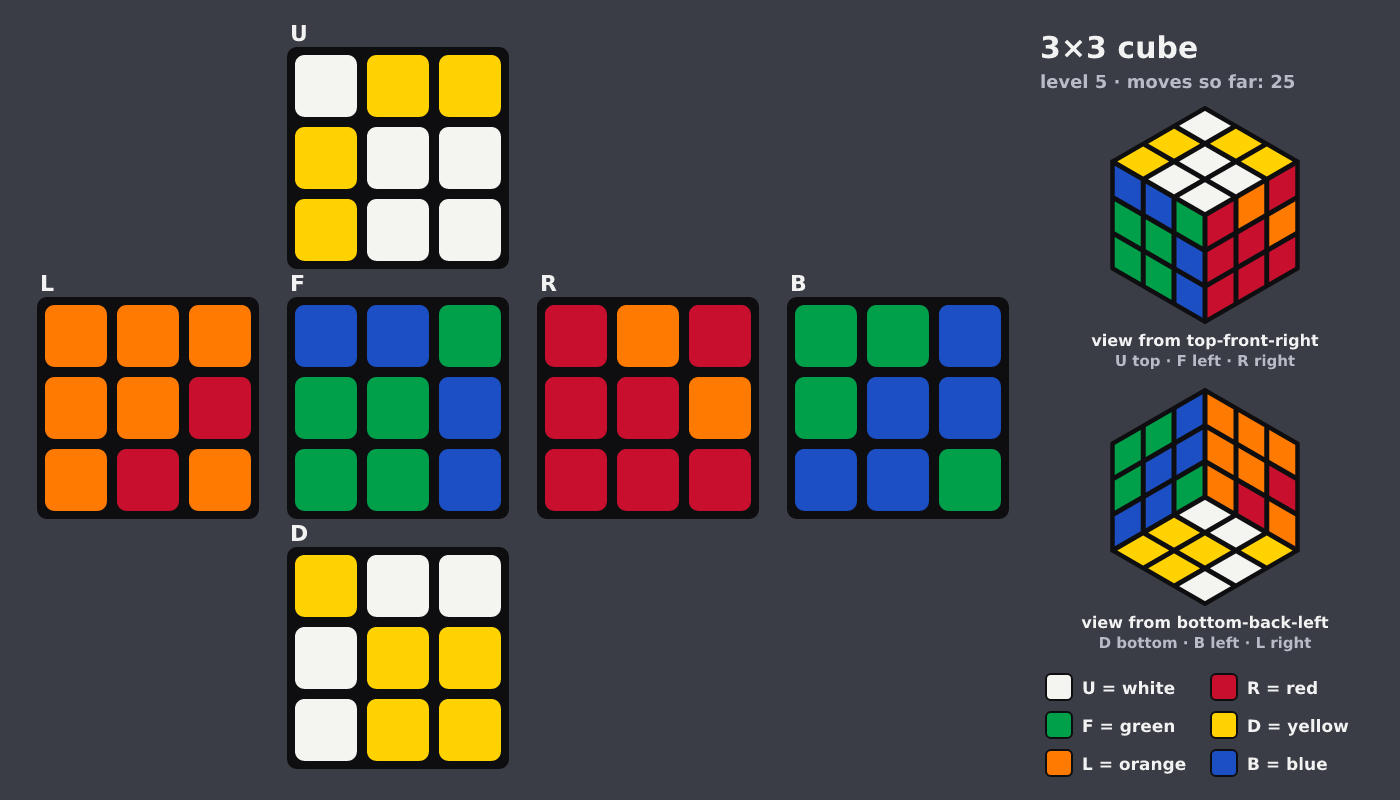 Picture shown to the model: after turn 19 · 25 moves