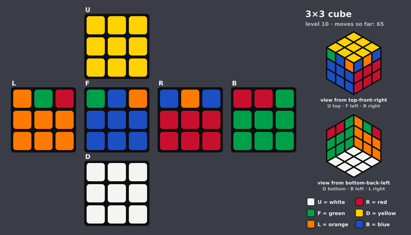 Picture shown to the model: after turn 9 · 65 moves