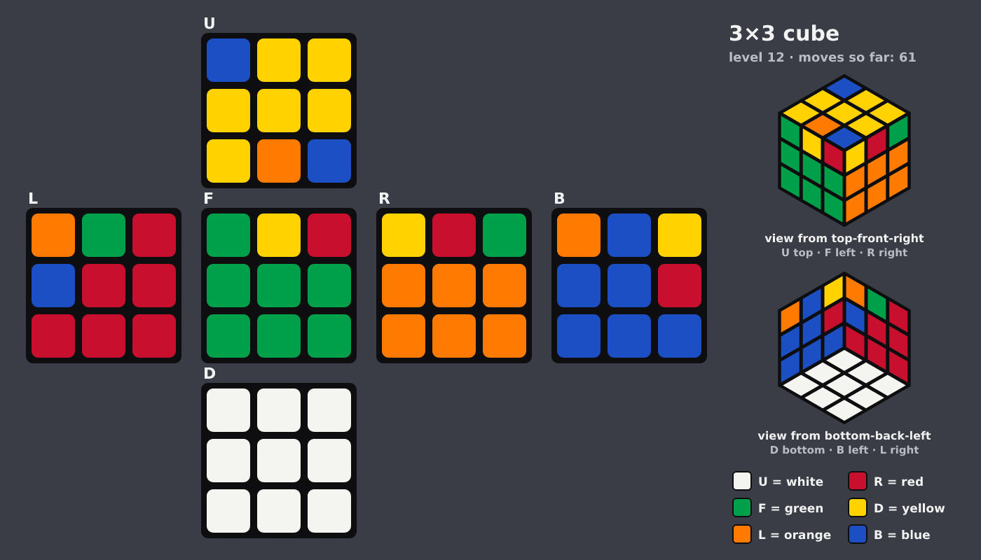 Picture shown to the model: after turn 9 · 61 moves