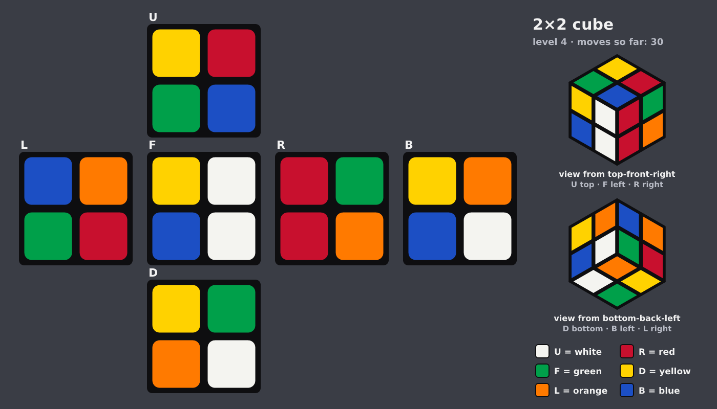 Picture shown to the model: after turn 9 · 30 moves