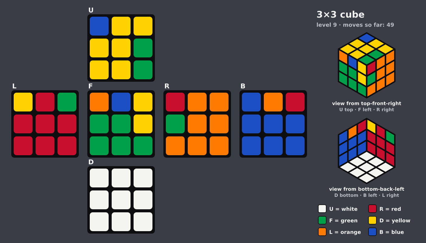 Picture shown to the model: after turn 9 · 49 moves