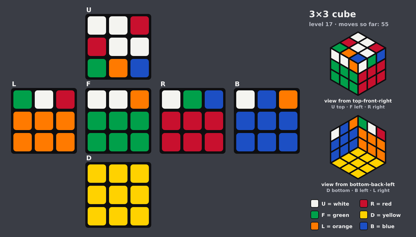 Picture shown to the model: after turn 5 · 55 moves