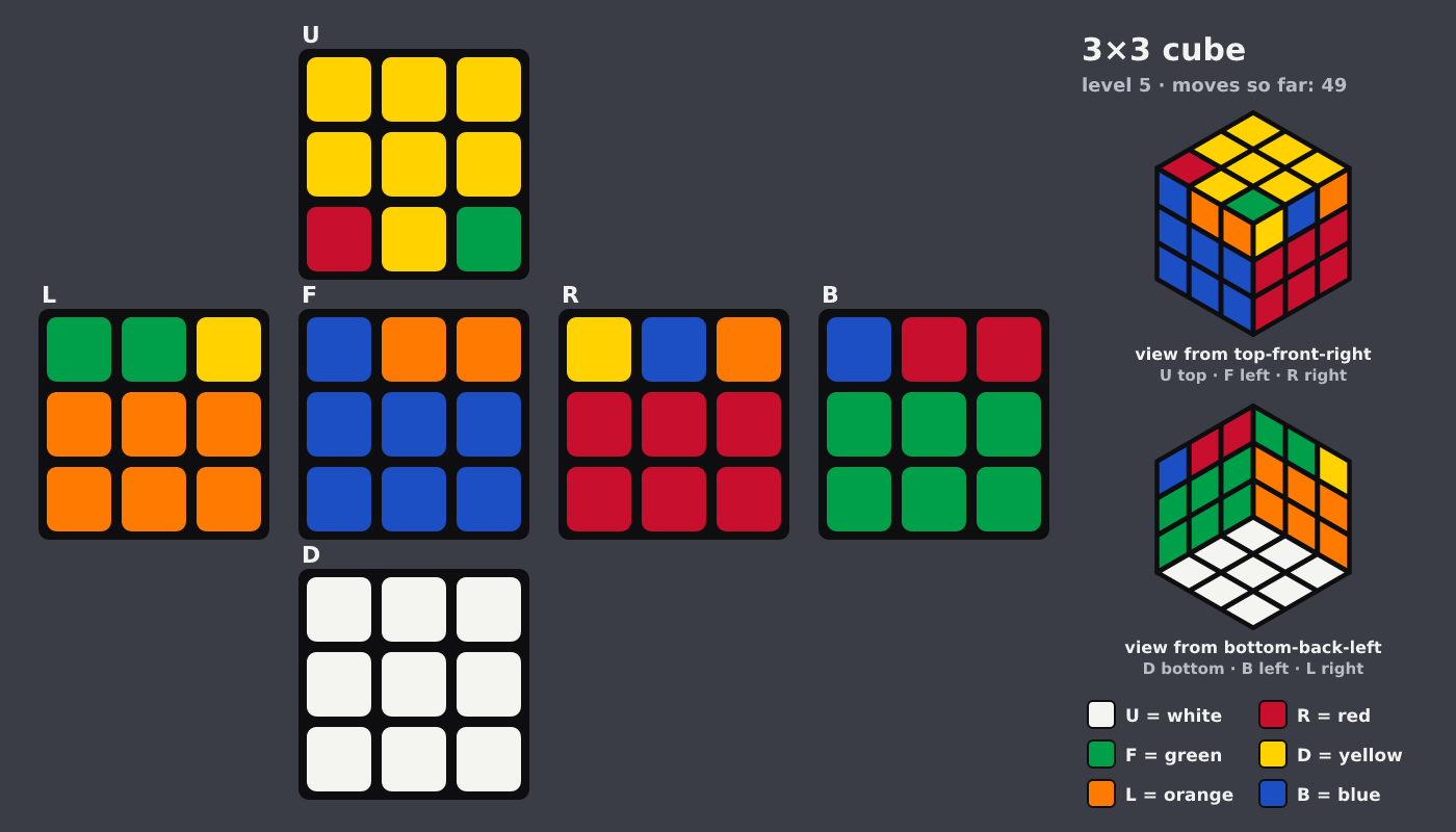 Picture shown to the model: after turn 9 · 49 moves