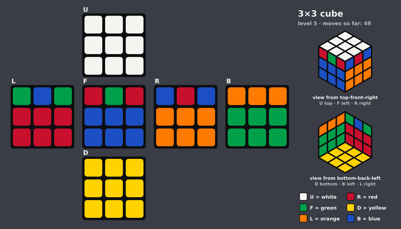 Picture shown to the model: after turn 9 · 49 moves