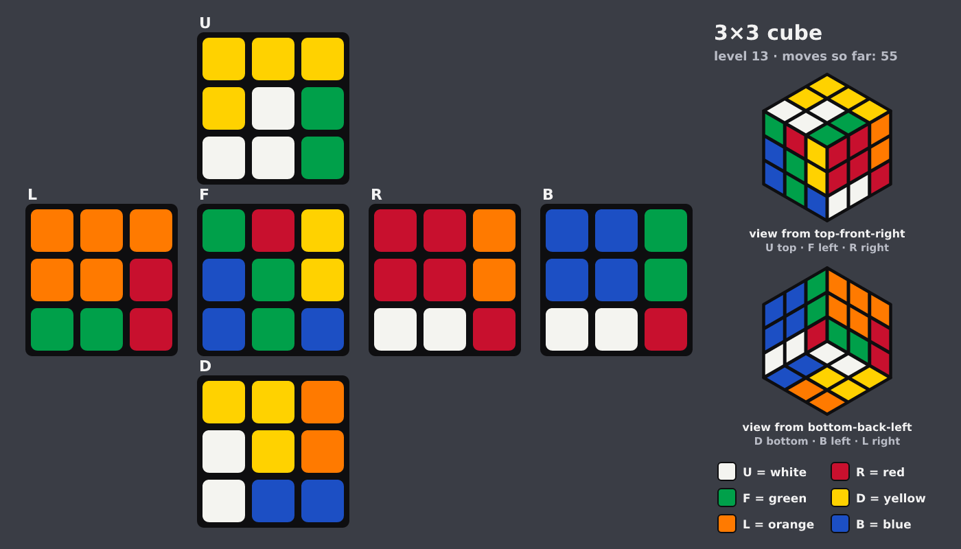 Picture shown to the model: after turn 4 · 55 moves