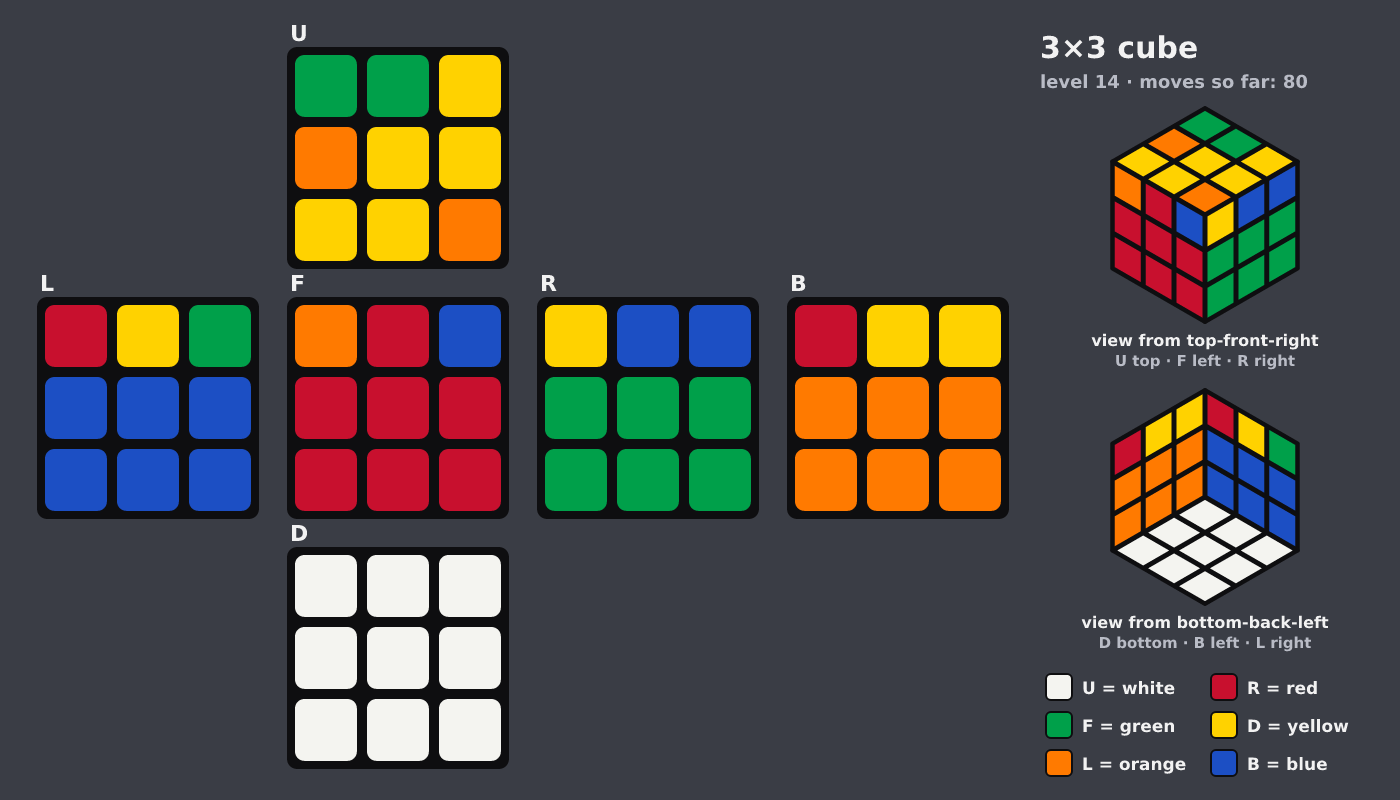 Picture shown to the model: after turn 12 · 80 moves