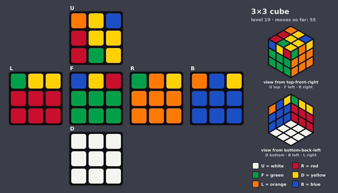 Picture shown to the model: after turn 9 · 55 moves