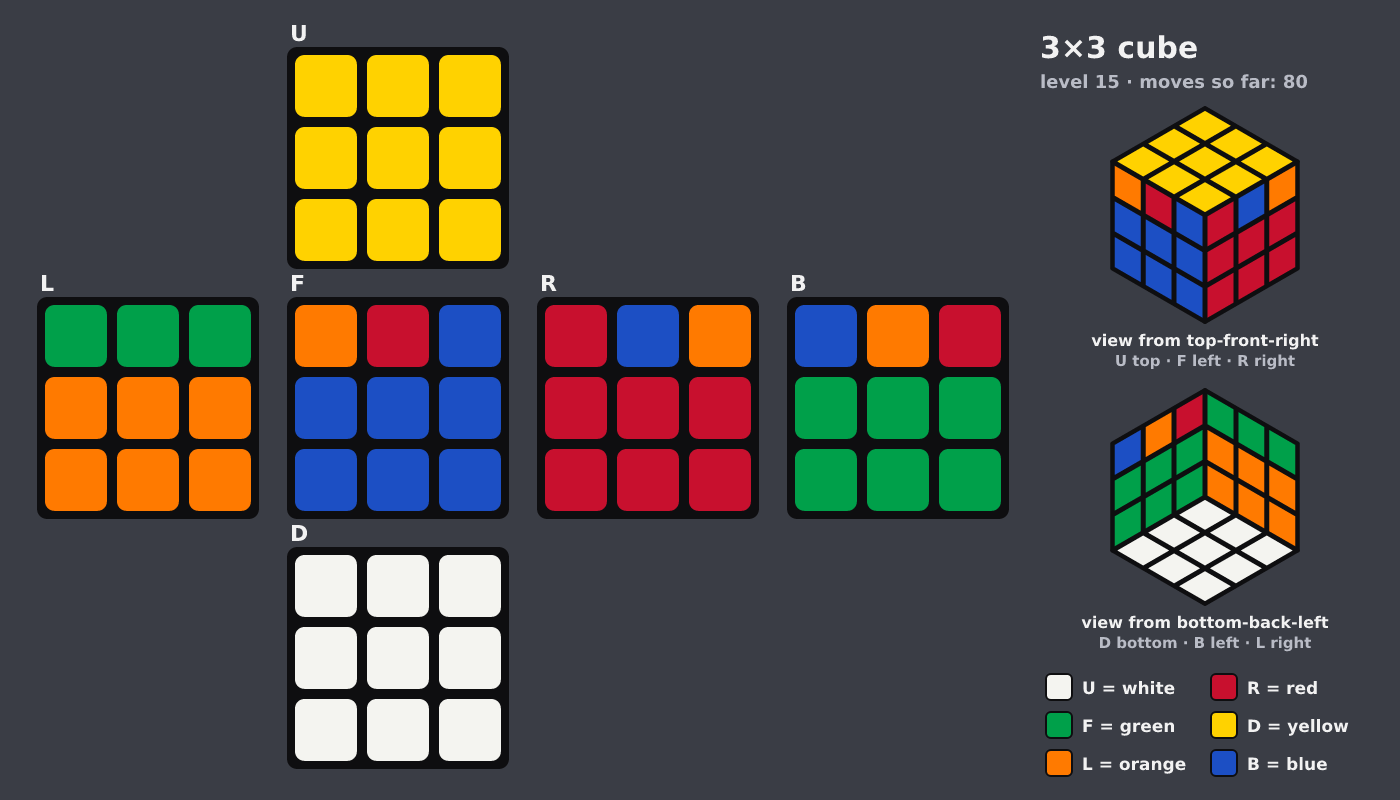 Picture shown to the model: after turn 12 · 80 moves