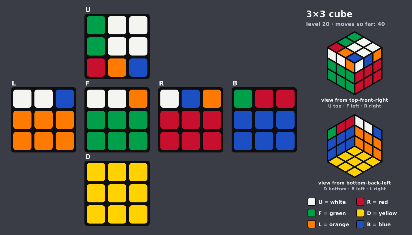 Picture shown to the model: after turn 4 · 40 moves