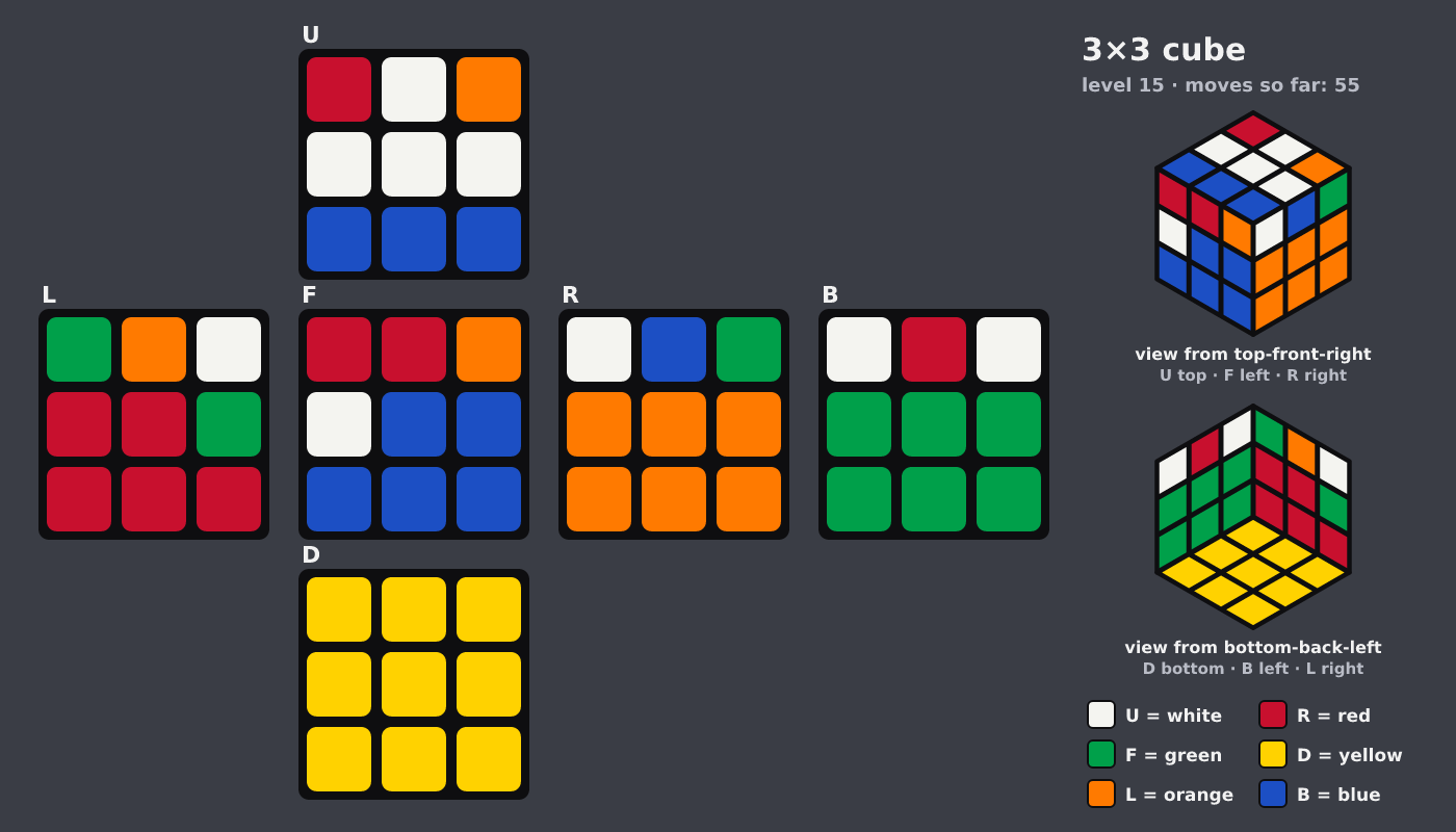 Picture shown to the model: after turn 9 · 55 moves